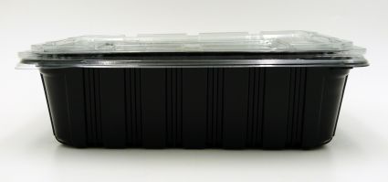 Контейнер пластиковый черный с крышкой 227*178*60 - 2