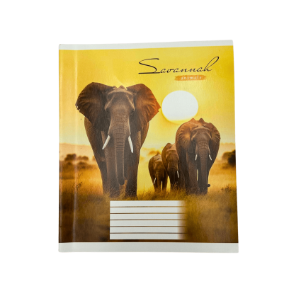 Тетрадь 24 листа в клеточку - 1