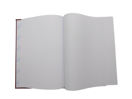 Книга канцелярська UKRAINE А4 192 аркуша - 2